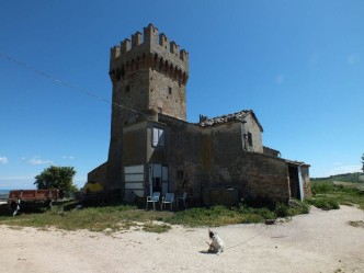 torre matteucci_01