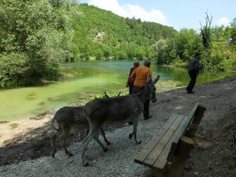 Lago di Boccafornace - Pievebovigliana (MC)