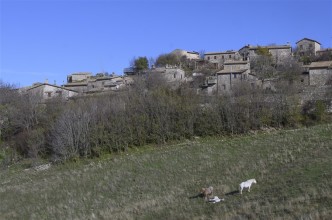 10 Panoramica